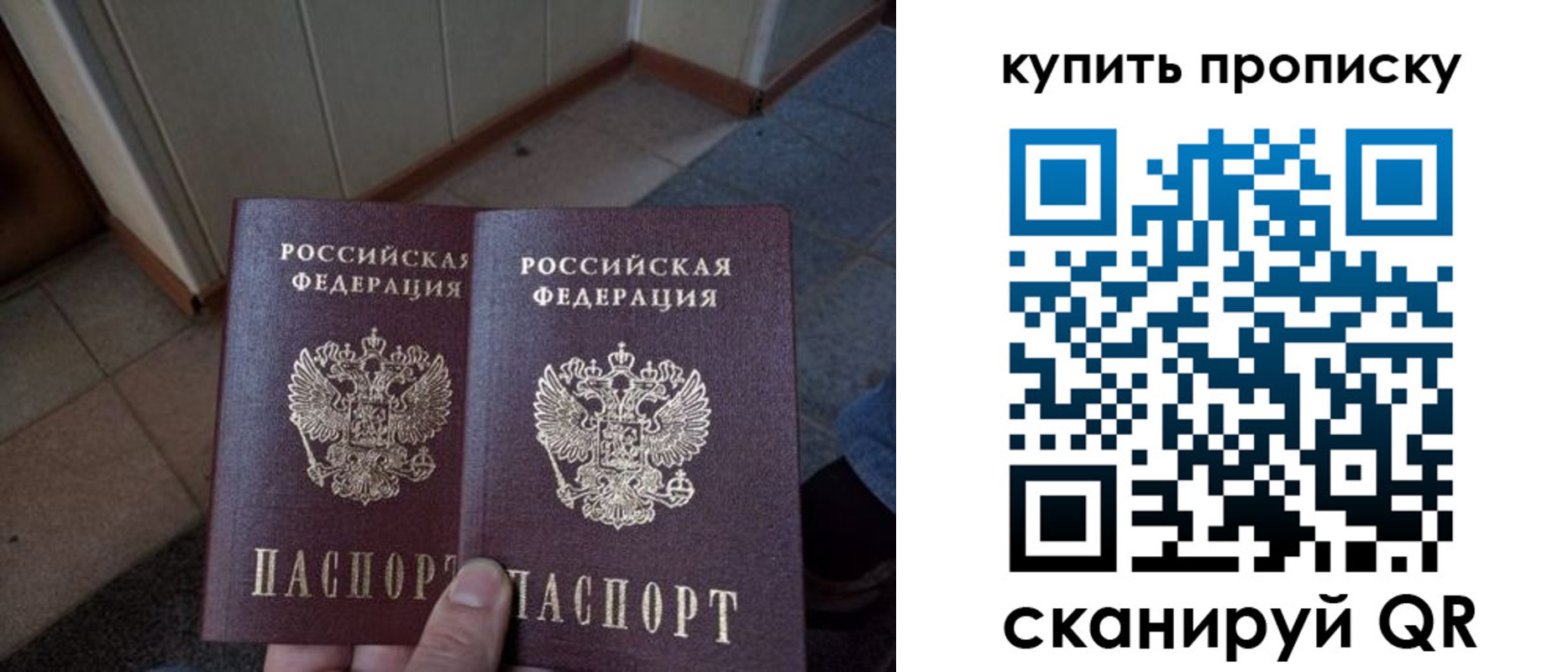 купить прописку в Каргополе